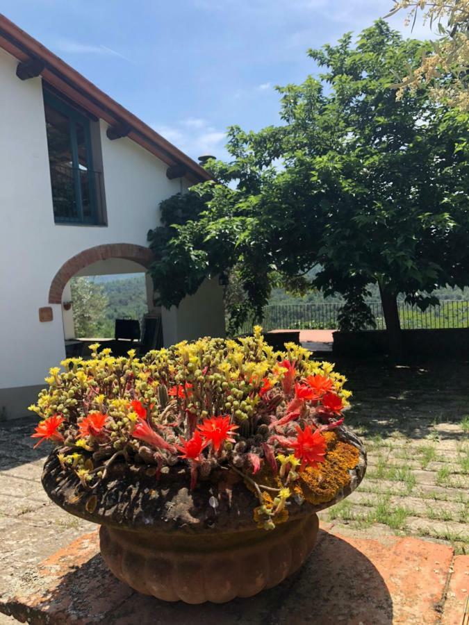 Alle Montanine Sughera Ferienhaus *